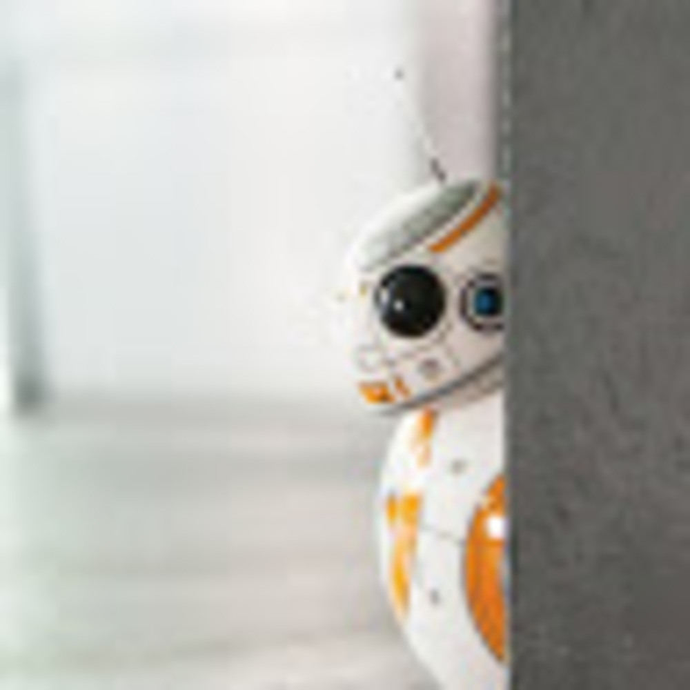 Meet your Posher, Lydia